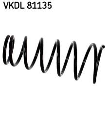 SKF VKDL 81135